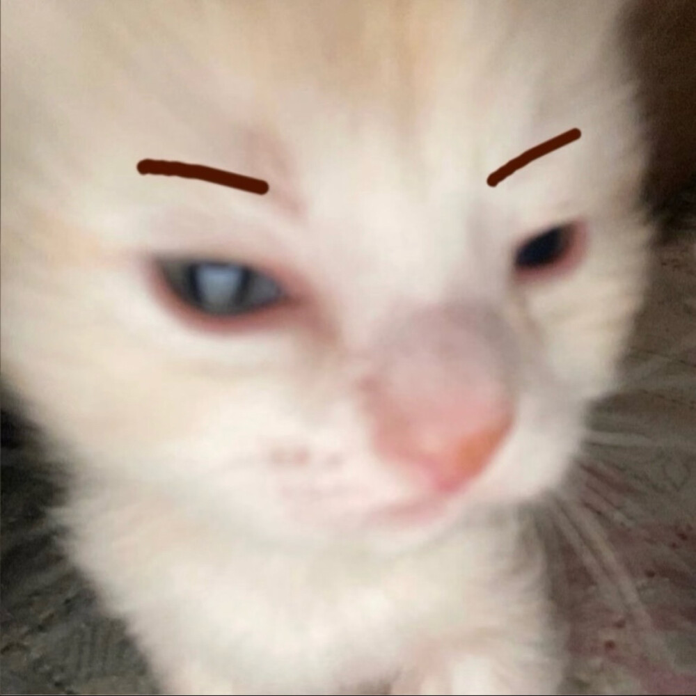 ᜊ꒰๑˃͈꒵˂͈๑꒱ᜊ 
