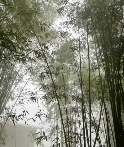 背景图