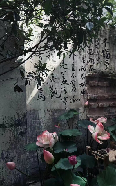 背景图