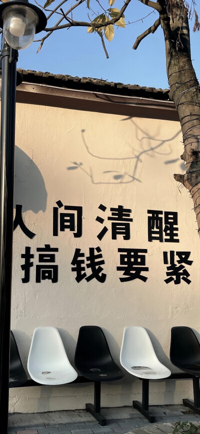 壁纸 手机