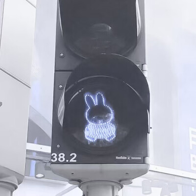 金冬天