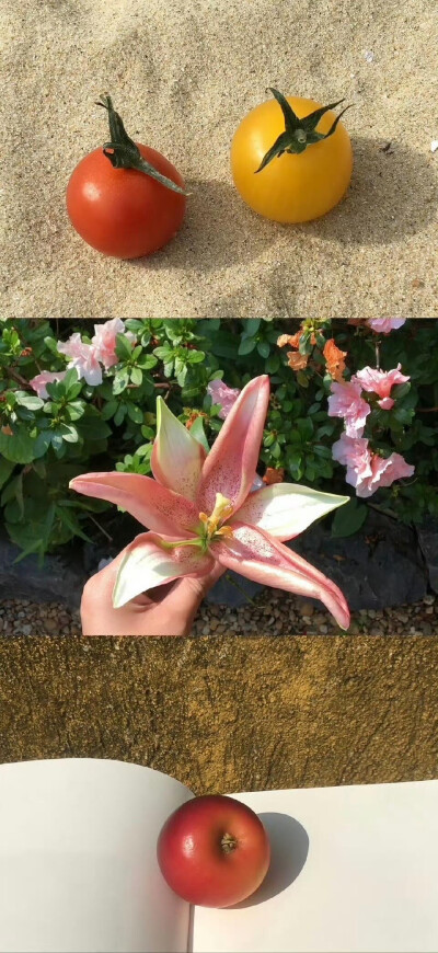 壁纸