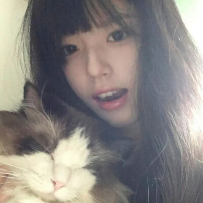 做我的猫