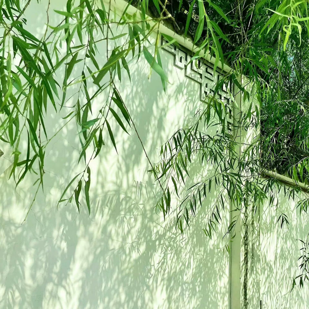 背景图