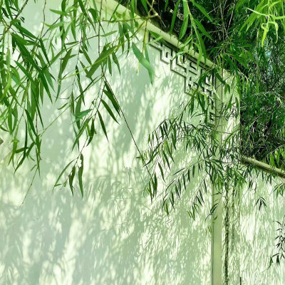 背景图