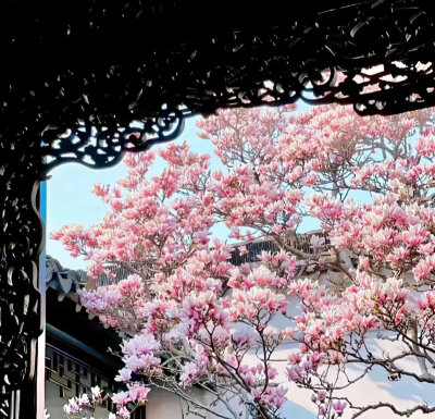背景图