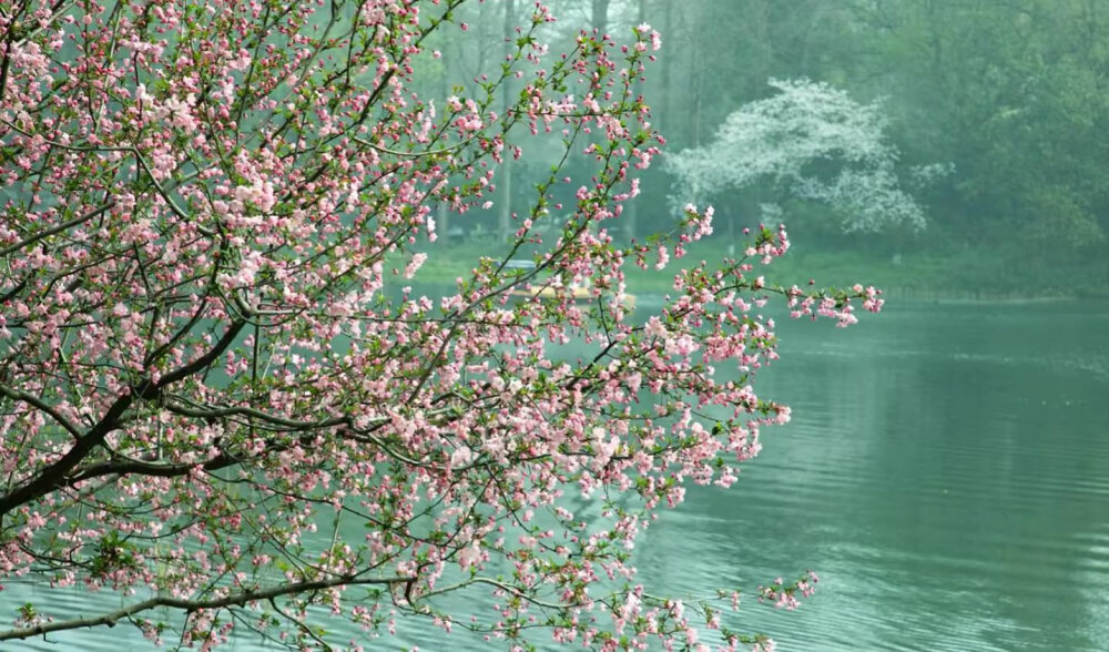 背景图