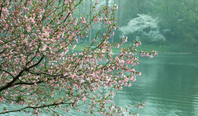 背景图
