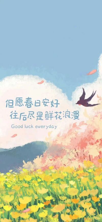 壁纸背景