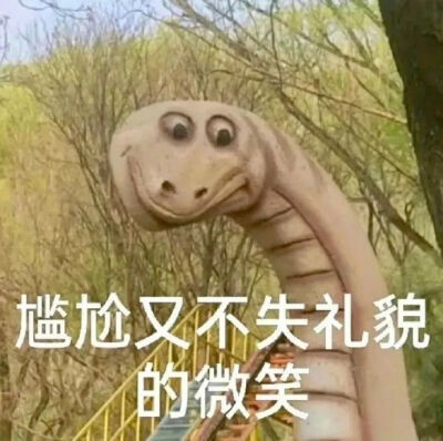 表情包