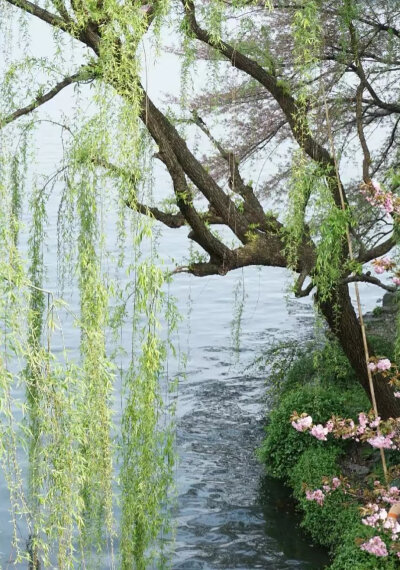 背景图
