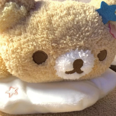 轻松熊(>^ω^<)