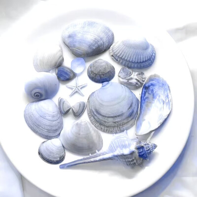 简介宝宝们