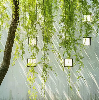 背景图