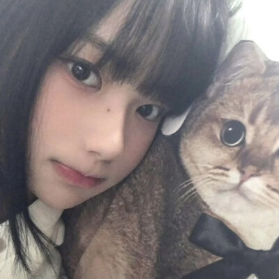 做我的猫