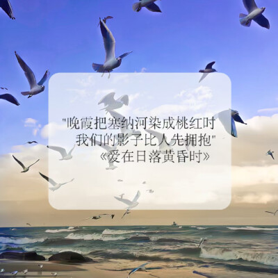 萌妹萌妹萌妹