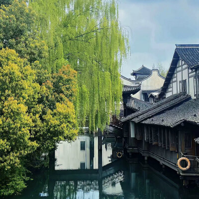 背景图
