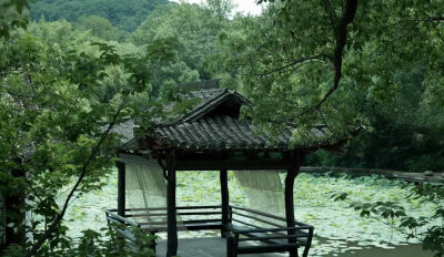 背景图
