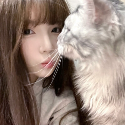 做我的猫
