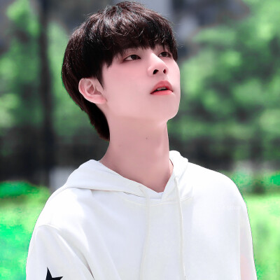 考卷的分数是往上爬的树藤