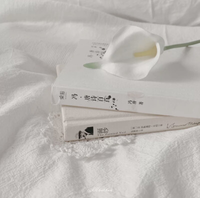 田曦薇套图可二改