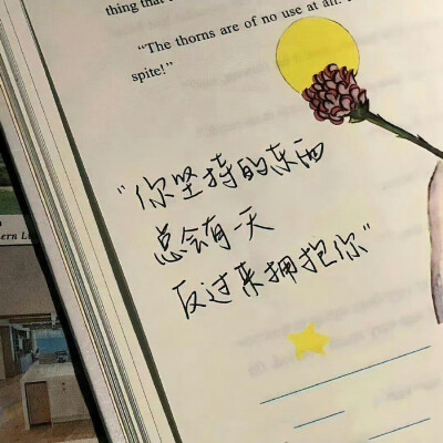 文案·图源微博