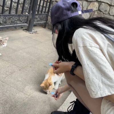 dt林宇婧