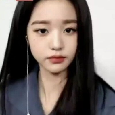 猪