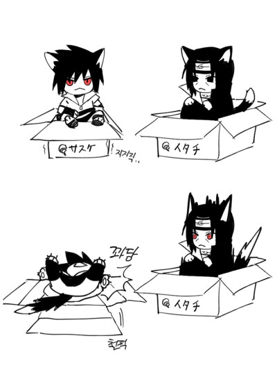 鼬佐