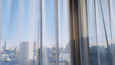 雨伞柄挂着未融化的雪、我们中间隔着叹息的雾