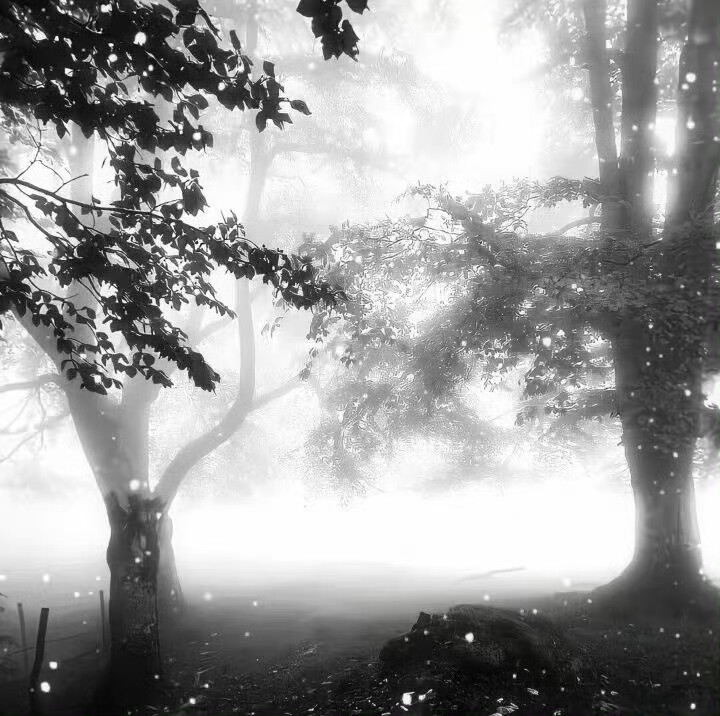 日更日更日更日更