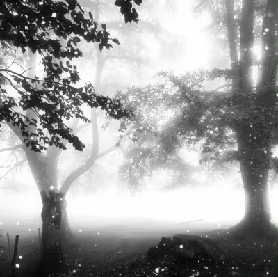 日更日更日更日更