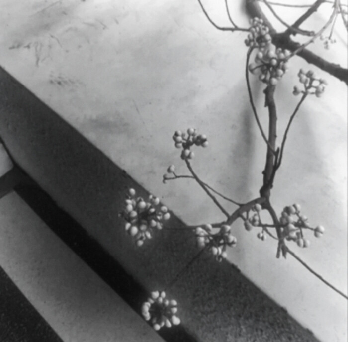  你离开后我的世界变成灰色