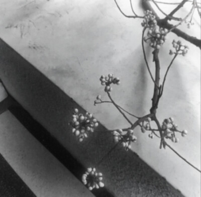  你离开后我的世界变成灰色