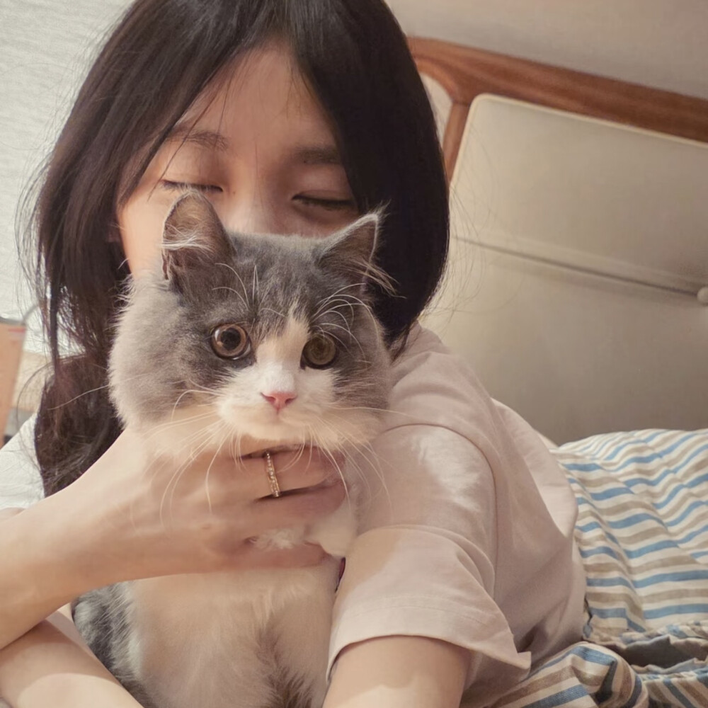 dt林宇婧