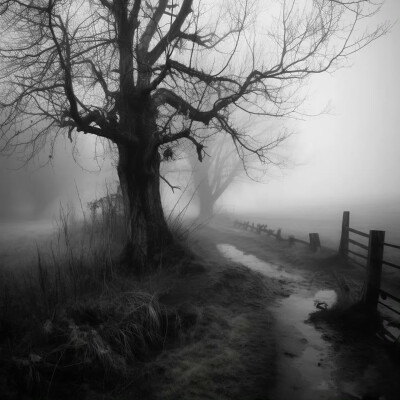 日更日更日更日更