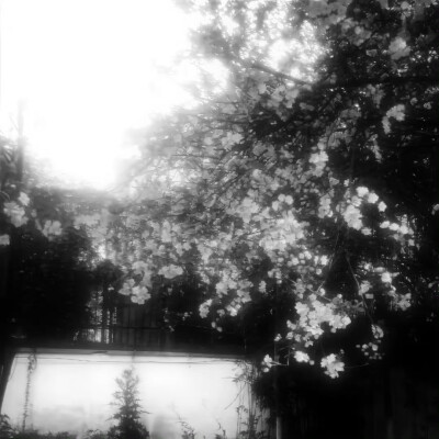 日更日更日更日更