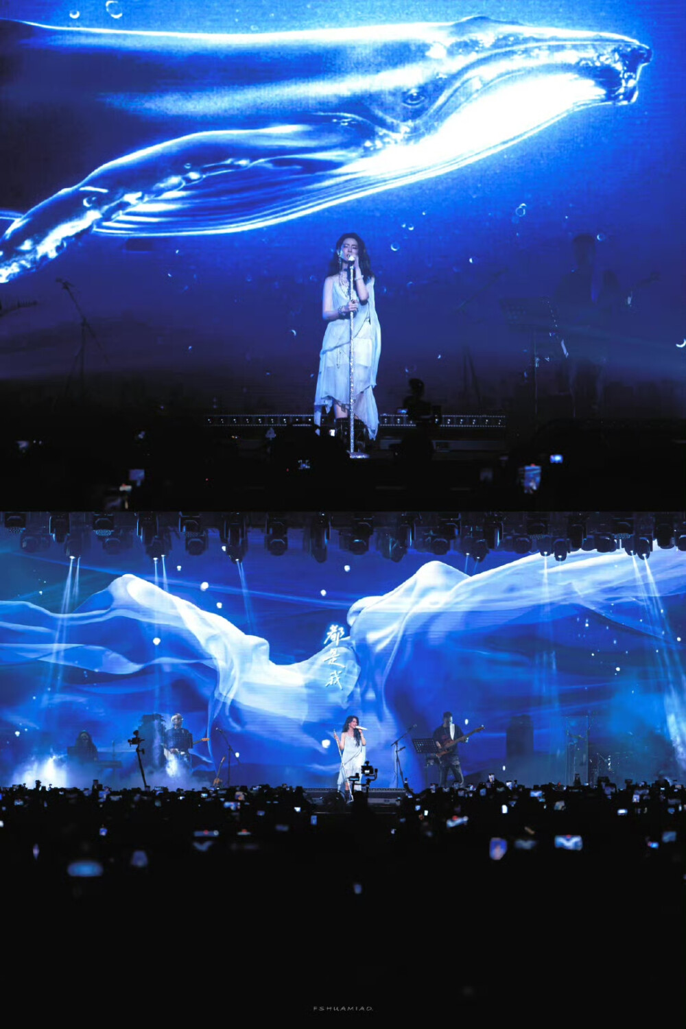 陈昊宇