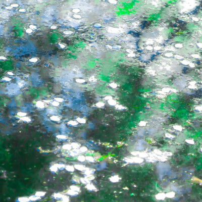 考卷的分数是往上爬的树藤