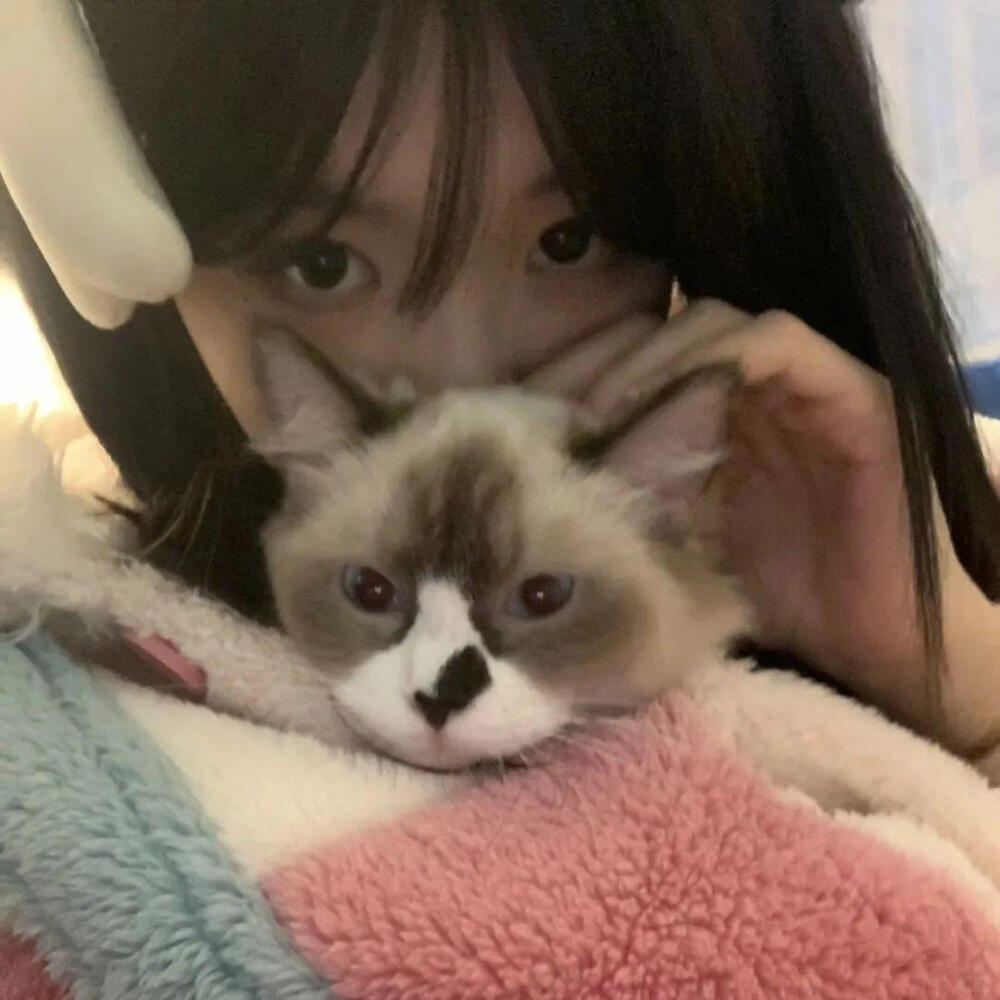 高质量女生头像