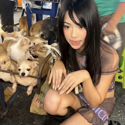 dt林宇婧