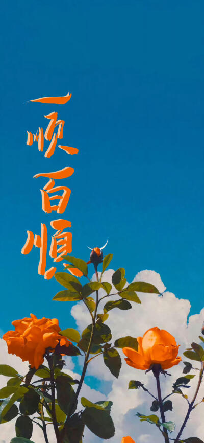 壁纸
