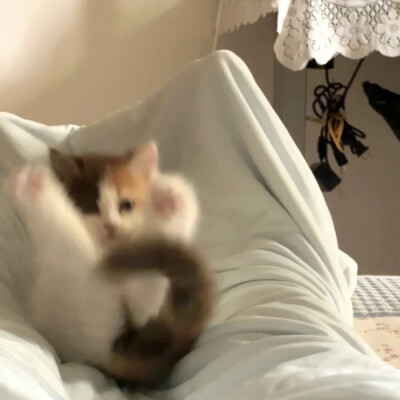 配背景图真的太难了T^T