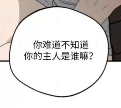 疯了吧