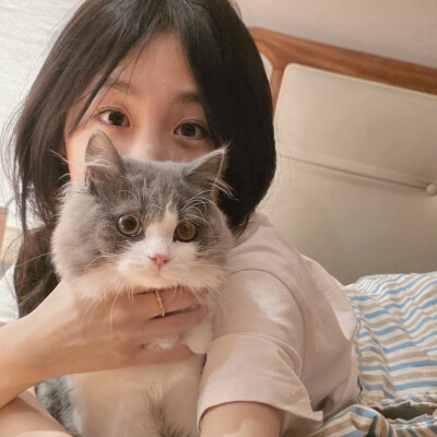 dt林宇婧