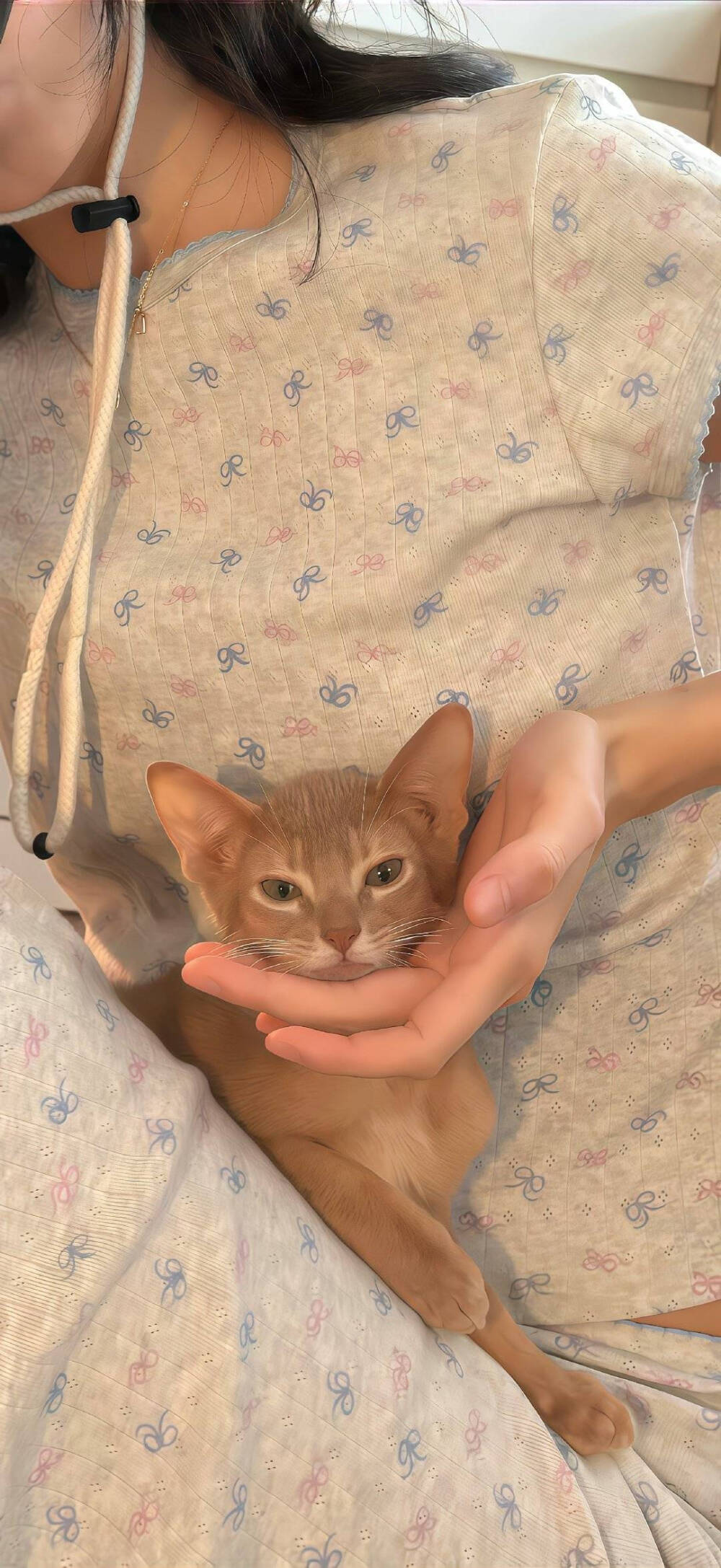 壁纸