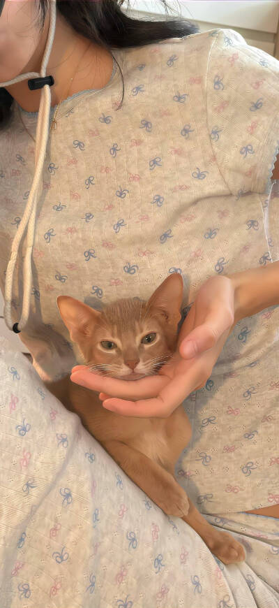 壁纸