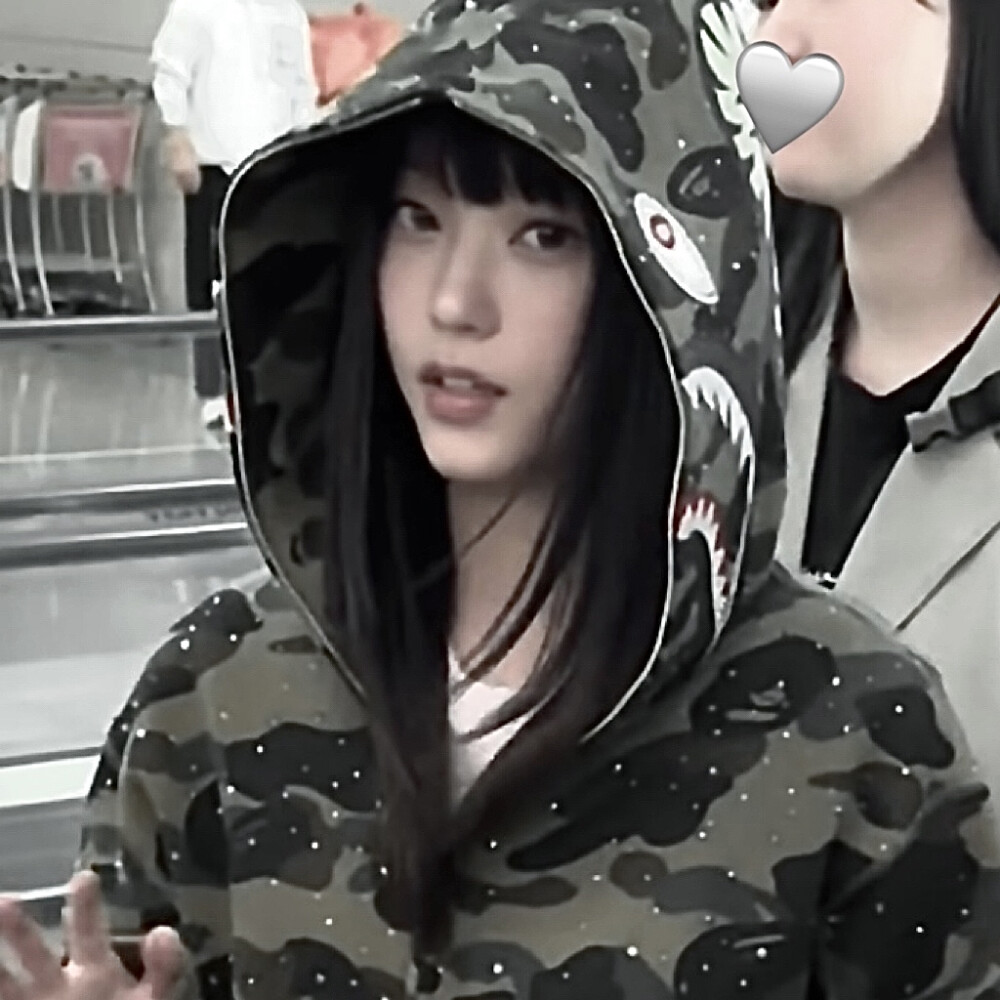 自由的猫不是流浪猫