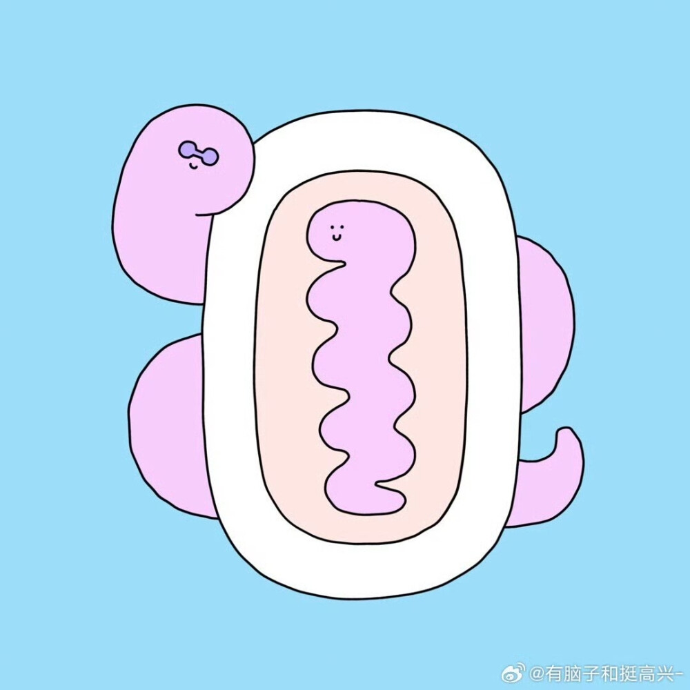 有脑子和挺高兴