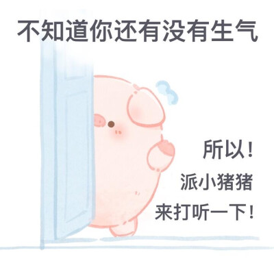 一只屁可猪